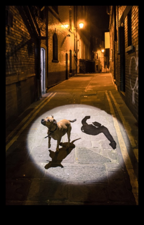 רחובות וצללים: משחק באור בציורי עיר