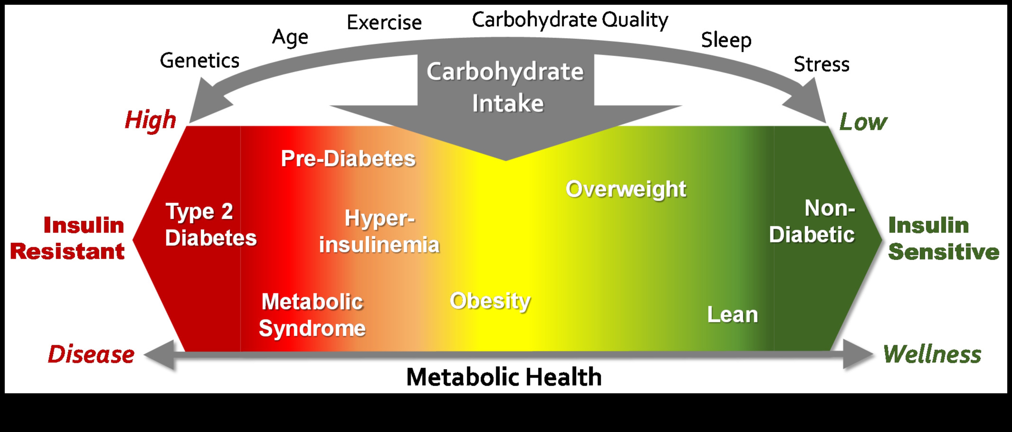 חכמת הפחמימות: מדריך מקיף לאיזון תזונתי