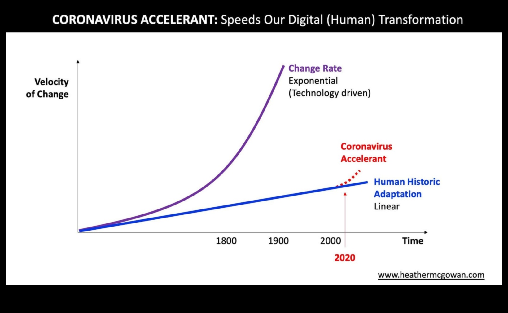 מהירות מיזם: מעצבת את עתיד הפעילות העסקית