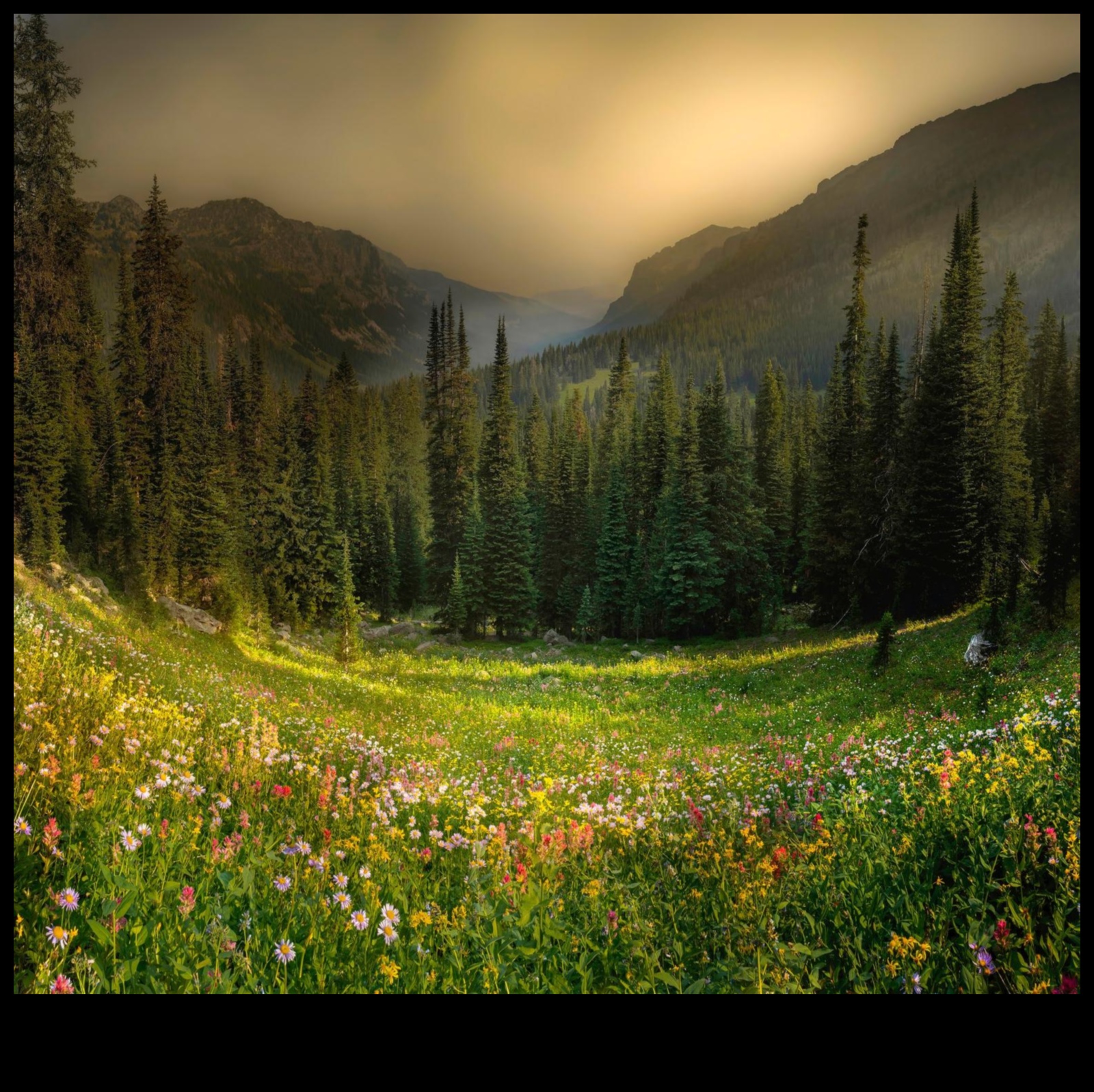 הרים יופי נשגב 4 שלווה פסגה: חקור את השלווה של נופי הרים