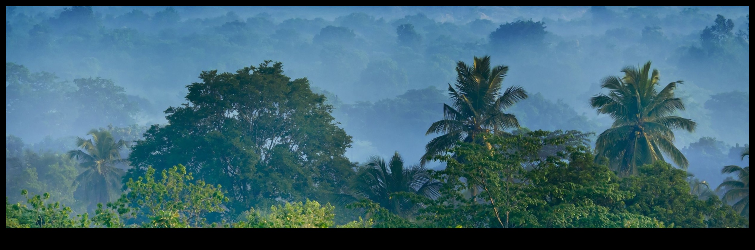 הרפתקאות ללא פליטות: חקר הטבע עם כלי רכב חשמליים