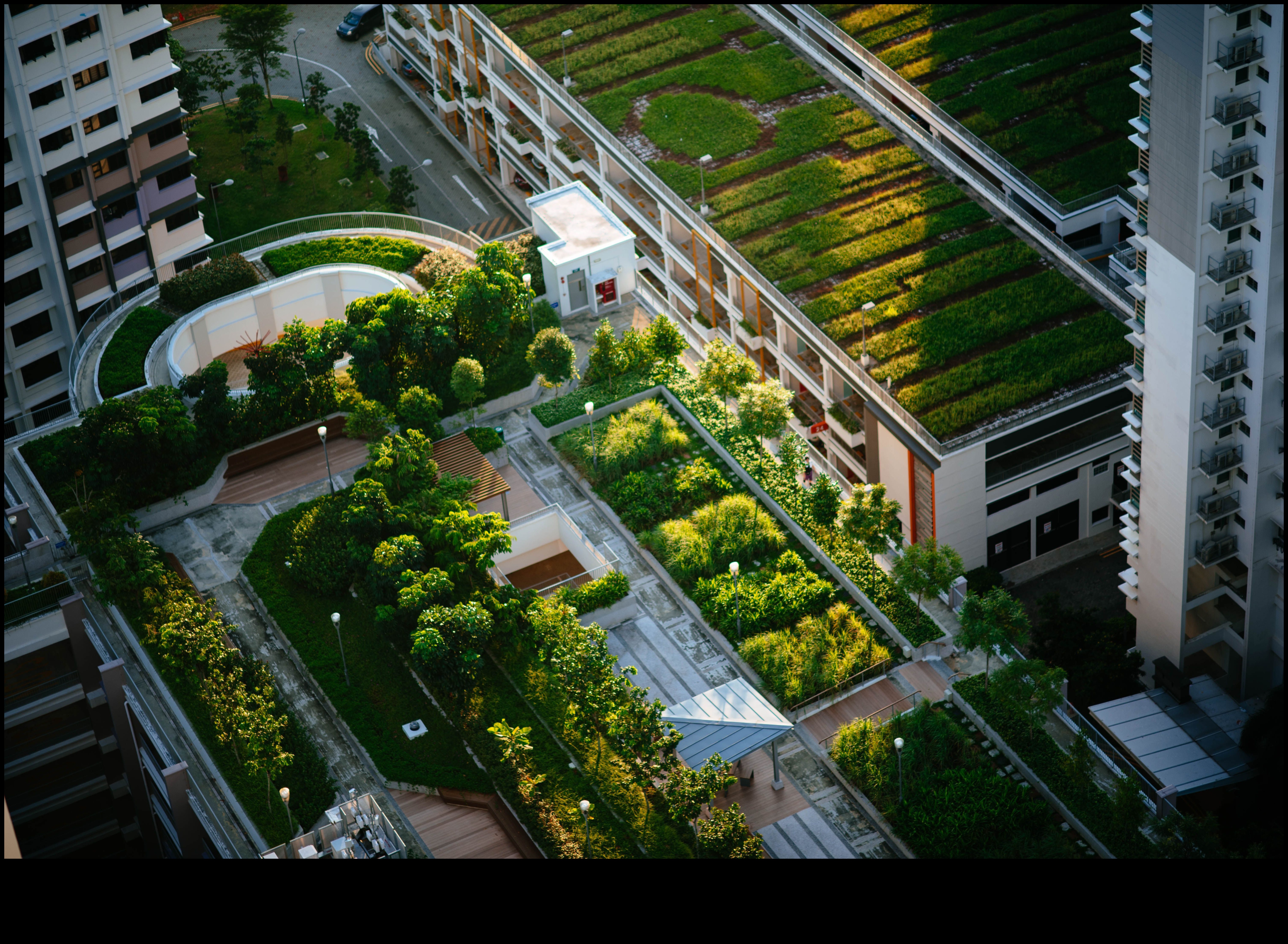 נווה מדבר ירוק: פארקים וגנים דרך עדשות שונות