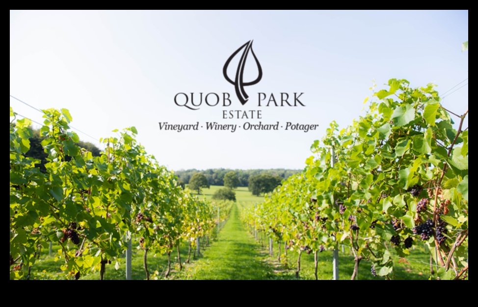 כרמים ומטעים: איפה חקלאות פוגשת אמנות