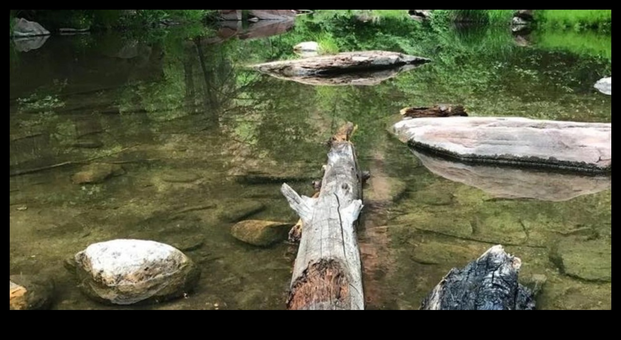 מראות של שלווה: אגמים ובריכות נחקרו