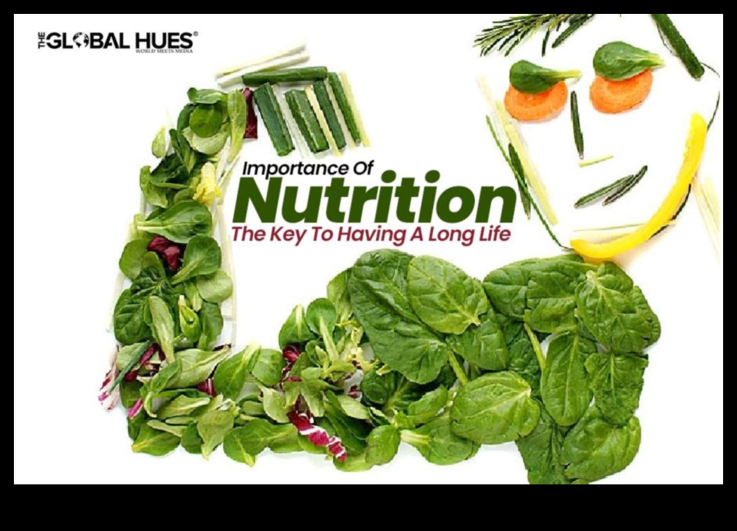 כרוניקות פחמימות: ניווט בעולם של חומרים מזינים עתירי אנרגיה