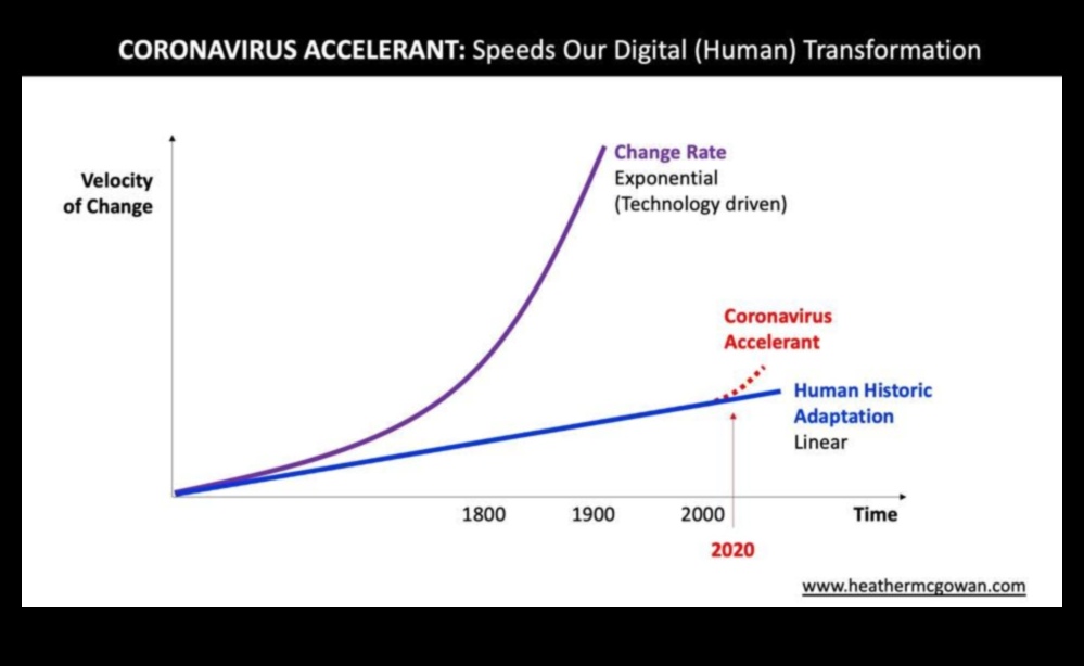 מהירות מיזם: מעצבת את עתיד הפעילות העסקית