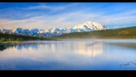 מראות של שלווה: אגמים ובריכות נחקרו