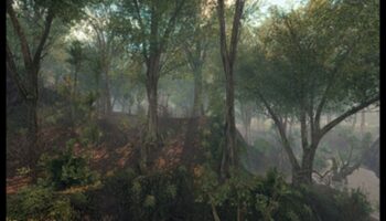 מדוע נופים הם אלמנטים חיוניים בעיצוב משחקי וידאו?