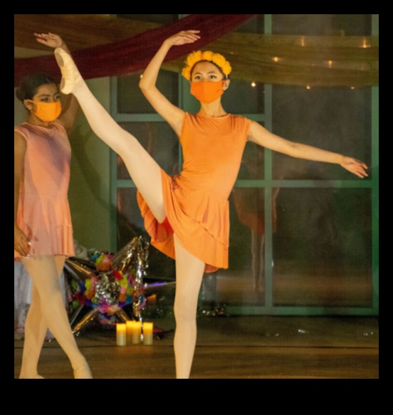 בלט ביוכימי: ריקוד חומרים מזינים לבריאות מיטבית