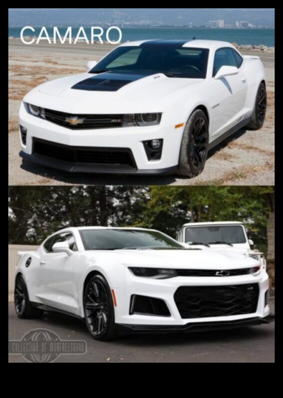 נהיגה בחלומות: מכוניות יוקרה והחתירה לשלמות הרכב