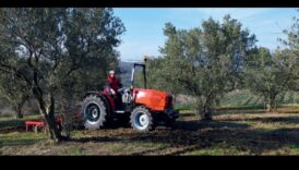 כרמים ומטעים: איפה חקלאות פוגשת אמנות