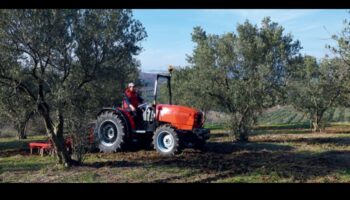 כרמים ומטעים: איפה חקלאות פוגשת אמנות