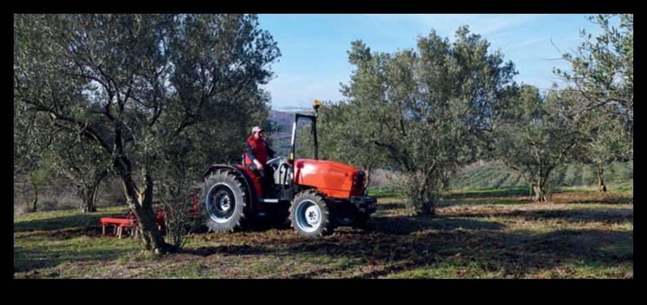 כרמים ומטעים: איפה חקלאות פוגשת אמנות