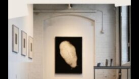 שקט נחשף: ציור מהות היופי הדומם