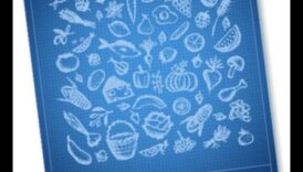 תוכנית התזונה: יצירת הצלחה עם ייעוץ מומחים