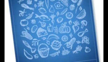 תוכנית התזונה: יצירת הצלחה עם ייעוץ מומחים